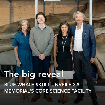 two males two females standing together in formal attire in front of a blue whale skull